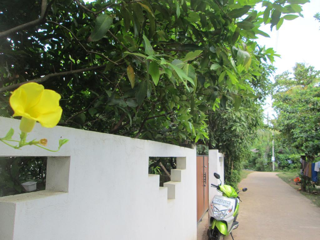 Bay Reach Home Stay Weligama Luaran gambar