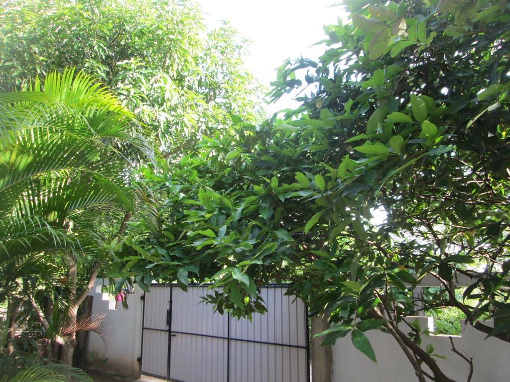 Bay Reach Home Stay Weligama Luaran gambar