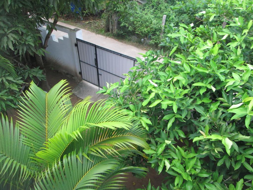 Bay Reach Home Stay Weligama Luaran gambar