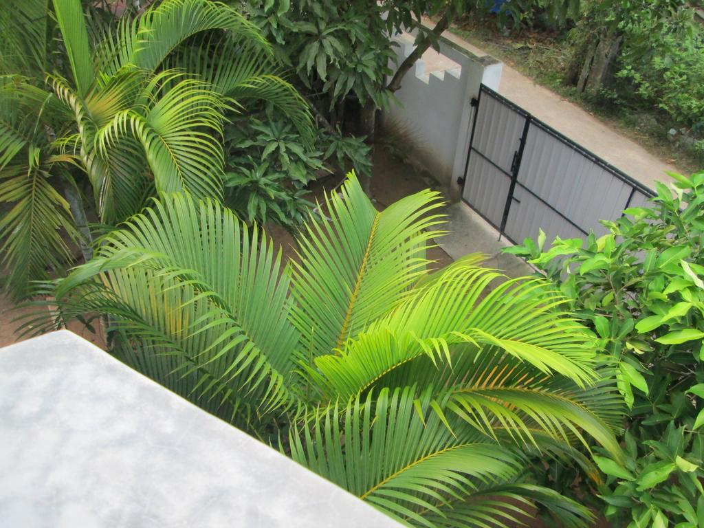Bay Reach Home Stay Weligama Luaran gambar